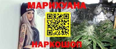 сатива Новокубанск