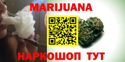 сатива Новокубанск