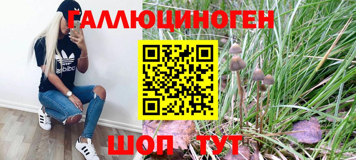Псилоцибиновые грибы GOLDEN TEACHER  Вход с VPN  Чусовой 